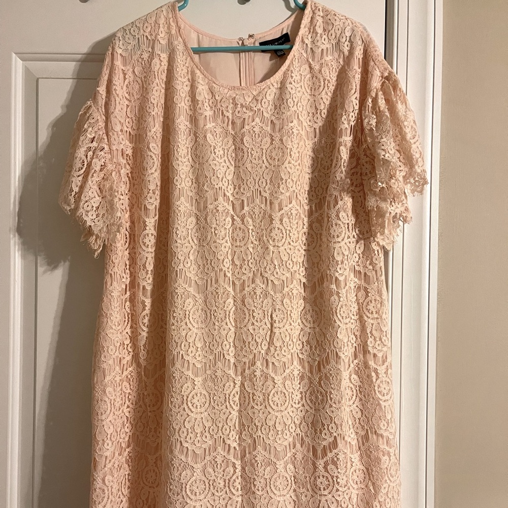 The Limited Lace Pink Shift Dress sz 18
